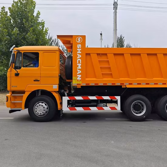 뜨거운 판매 Shacman 6X4 290HP F2000 덤프 트럭